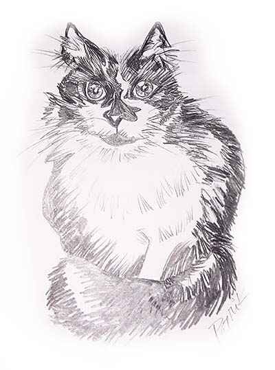 Another pet portrait Caricature of Waldo, Patrick's cat in Atlanta